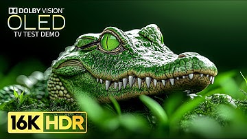 Amazing OLED TEST Demo | 16K Video ULTRA HD 120 fps | Dolby Vision