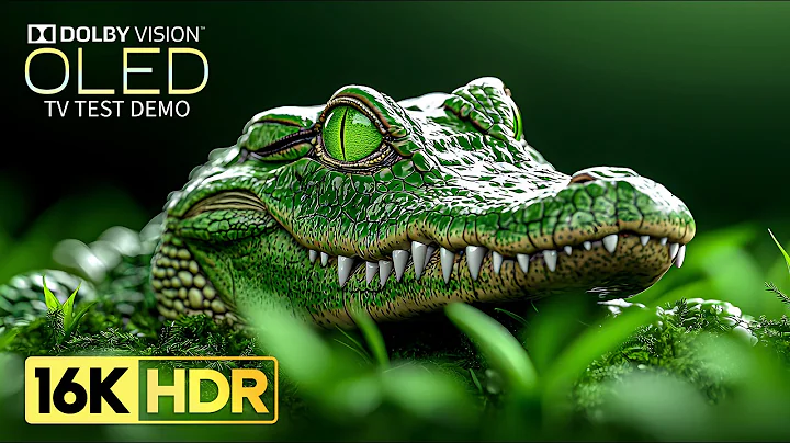 Amazing OLED TEST Demo | 16K Video ULTRA HD 120 fps | Dolby Vision