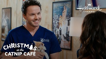 Sneak Peek - Christmas at the Catnip Café - Staring Erin Cahill and Paul Campbell