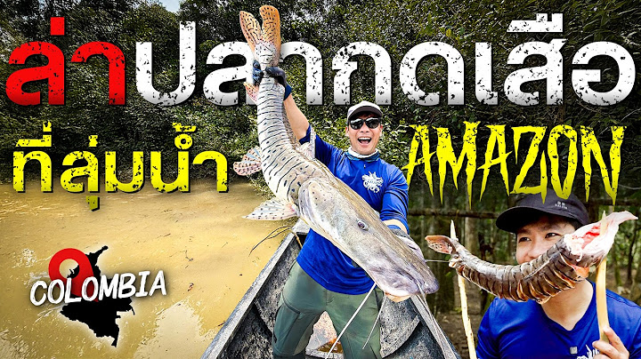 ล่าสุดยอดนักล่ากดเสือ Tigershovelnose Catfish ทำกินสดๆในป่าแอมะซอน!![สาระตั้ม - Thumbntk]