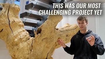 If A Tree Falls In New York, Does It Make A Sound?