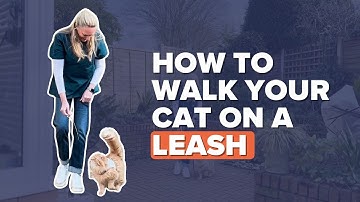 How To Walk Your Cat On A Leash (Cat-led Training)