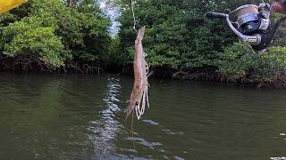 Fish immediately HAUP fishing using this super effective bait