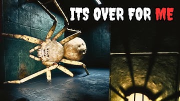 DO NOT WATCH IF YOU HATE SPIDERS!!! [Huntsman]
