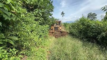 Reviving Old Plantation Road Infrastructure with a D6R XL Bulldozer