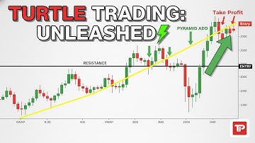 How to Trade the Turtle Strategy: A Full Guide to Beating Day & Swing Traders