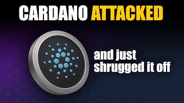 Did a kid vibe coding with AI take down the Cardano blockchain?