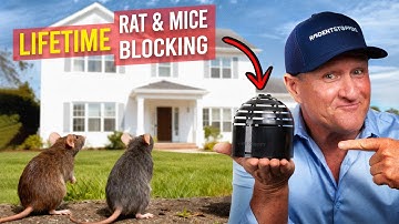 NEVER See a Rat & Mice Again — Do This to Your Home!