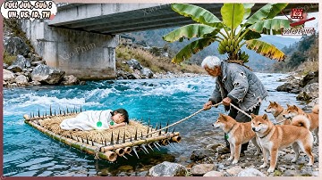 Bé Gái Bị Trôi Dạt Trên Sông Được Lão Ăn Mày Nhặt Về Nuôi Nấng 20 Năm Sau Trở Thành CEO Trả Ơn Ông