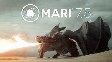 Mari 7.5 | Overview