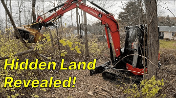 Bosmulchen onthulde ongezien land | Time-lapse