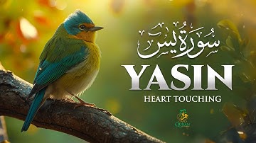 Surah Yasin (Yaseen) سورة يس | This Will Touch Your Heart and Soul إن شاء الله #surahyasin