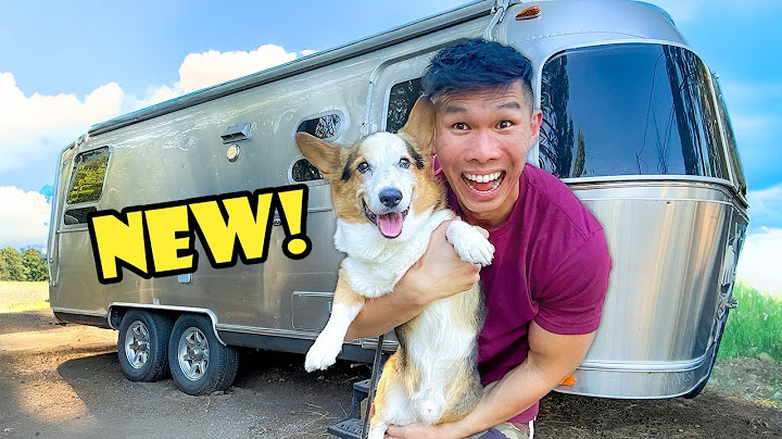 It's Just Me and My Corgi Now: Our New Home & Adventure - Day 1 || Life After College: Ep. 801