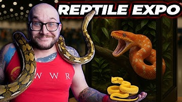 NEW Species Discovered at INSANE Reptile Expo!