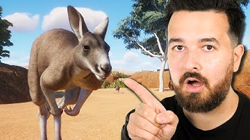 My Australian zoo now has kangaroos!
