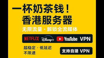 「超简单教程：用香港 VPS 自建 VPN，一键解锁 Netflix／Disney+」