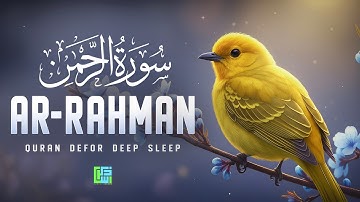 Surah Ar-Rahman (سورة الرحمن) | Ultimate Relaxing Lofi Quran for Night Listening | Zikrullah Studio