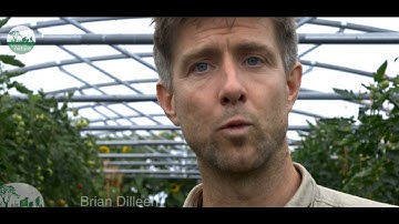 Meet the Inspiring 2025 Ambassadors | A Much-Needed Shot of Optimism