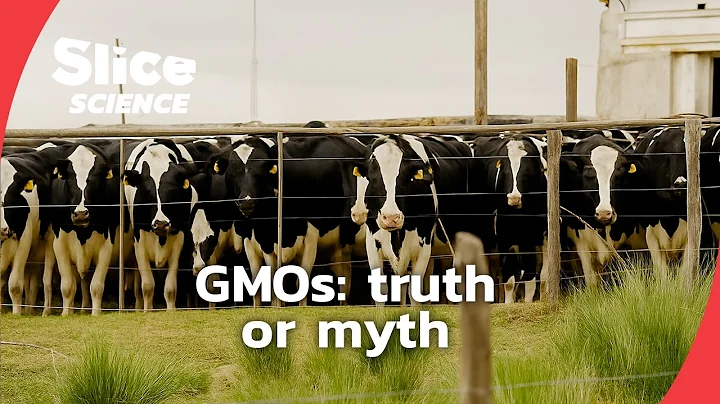 Inside the global GMO debate | SLICE SCIENCE | FULL DOC