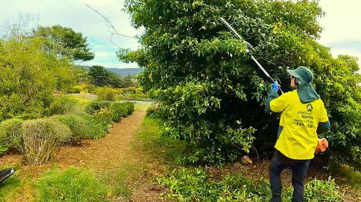 Shocking BACKYARD gets Long OVERDUE Cleanup!