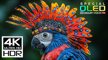 JAW-DROPPING 4K HDR 60fps | Dolby Vision (8K / 4K Video TV TEST)