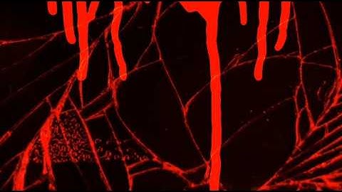 Lazarus & Nexius | Self-Reflection – Entry 12