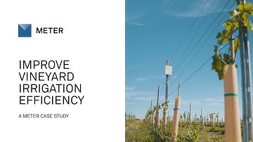How connected sensors and weather data improve vineyard irrigation efficiency