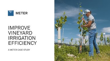 How connected sensors and weather data improve vineyard irrigation efficiency