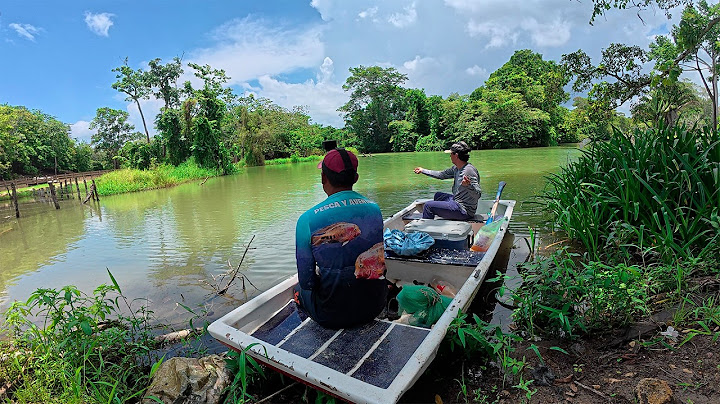 Fish and cook in this beautiful river using magic bait