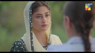 Zard Patton Ka Bunn - Ep 24 Promo - Sunday At 08 Pm Only On HUM TV [ Sajal Ali & Hamza Sohail ]