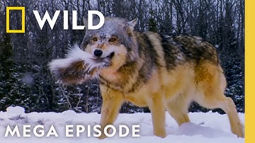 Dangerous, Deadly Games | World