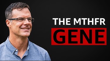 Why You Are Always Tired & Anxious (It’s Genetic)