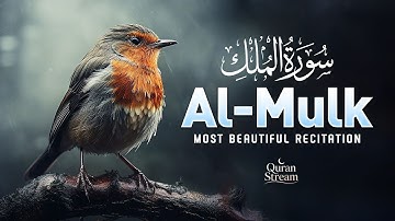 Surah Al-Mulk سورة الملك | Peaceful Lofi Quran to Calm the Heart & Mind at Night #QuranForSleep