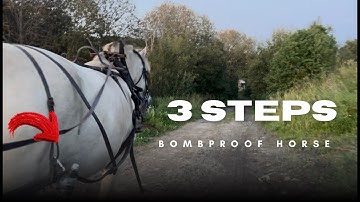 Doe DIT voor een veiliger paard - 3 simpele stappen! #menpaard #fjordpaard #grondwerk #paardenreis