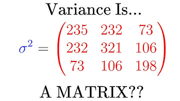 How Variance Is Actually… A Matrix?