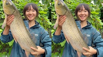 1500 TỆ Thầu Ao Cá 5 Năm Không Tát, Kéo Lên Hàng