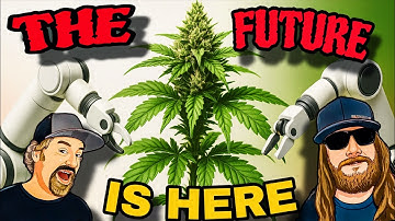 The Labor Saving Cultivation Tech That Still Produces Top-Shelf Bud