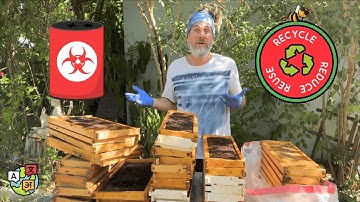 What to Do with Old Bee Frames? Beekeeper Recycling Hacks