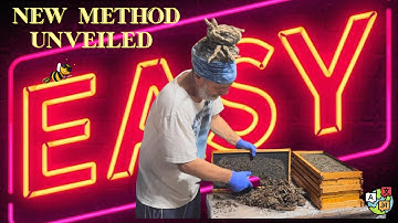 Old Bee Frames, New Purpose! Easy Recycling Tips for Beekeepers