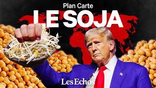 Comment le soja a conquis le monde