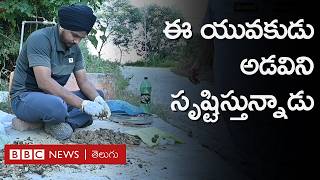 Punjab కు చెందిన ఈ యువకుడు చేస్తున్న Seedballs ప్రయత్నం ఫలితాలనిస్తోందా? | BBC Telugu