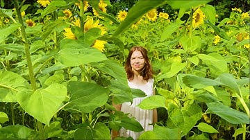 Cistronya - Let Go (Official Music Video)