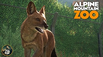 Building for Dhole & Wild Deer in Planet Zoo! | Alpine Mountain Zoo