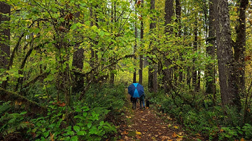 Autumn 2025 Music Video ft. "So Long" by Mattias Tell