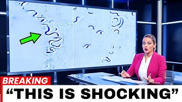 Scientists Detected a Huge Miles-Long Structure Moving on the Ocean Floor. They Found Was Disturbing