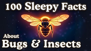 The Most Relaxing Facts About Bugs & Insects to Fall Asleep To