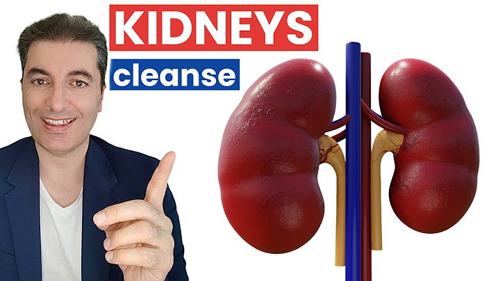 How to Cleanse Your Kidneys Naturally: Top Foods, Herbs & Tea Recipe