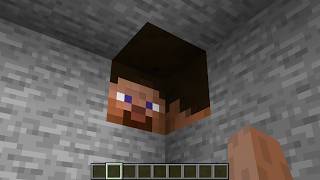 You Won't Believe These Confusing Minecraft Things!