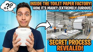 Inside the Super Toilet Paper Factory: How Hardwood Is Turned Into Incredibly Soft
