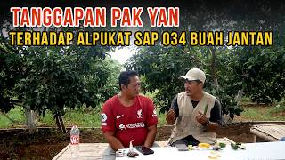 🥑Mau Diganti atau Tetap Pertahankan Alpukat Sap 034 Buah Jantan